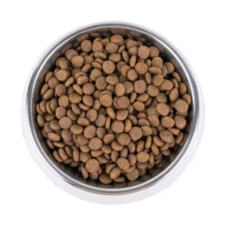 Vetality Hypoallergenic - Hundefutter -Online Haustier Lieferungen vetality hypoallergenic hondenvoer 195278 0500 none