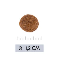 Vetality Hypoallergenic - Hundefutter -Online Haustier Lieferungen vetality hypoallergenic hondenvoer 195473 0500 none