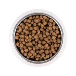 Vetality Puppy Medium - Hundefutter -Online Haustier Lieferungen vetality puppy medium hondenvoer 213671 0500 none