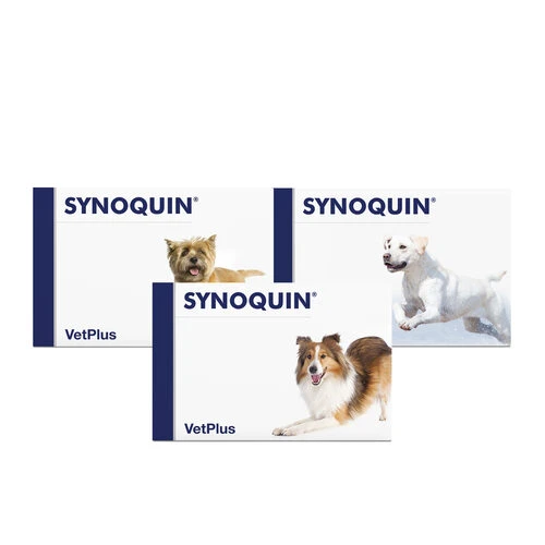 Vetplus Synoquin 1 Vetplus Synoquin