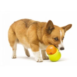 Zogoflex Toppl - Treat Toy -Online Haustier Lieferungen zogoflex toppl treat toy 219464 0500 none