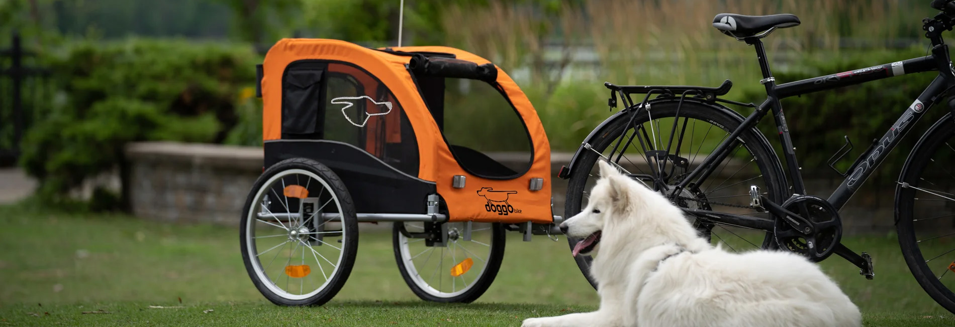 Online Haustier Lieferungen -Online Haustier Lieferungen 1