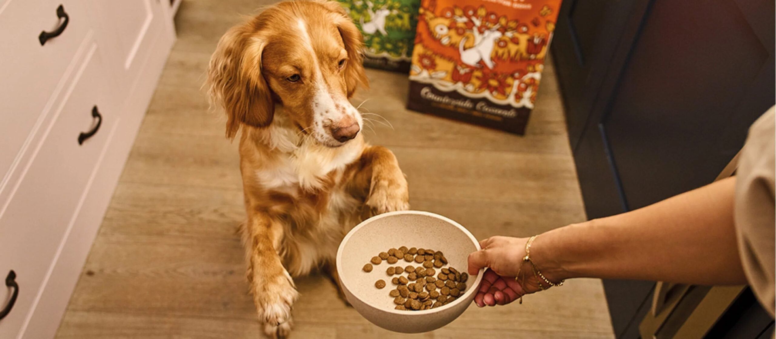 Online Haustier Lieferungen -Online Haustier Lieferungen 2 scaled